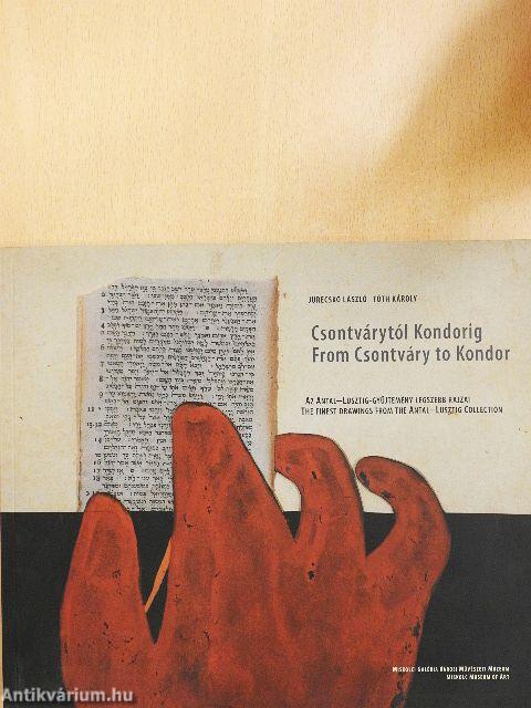 Csontvárytól Kondorig - Az Antal-Lusztig-gyűjtemény legszebb rajzai