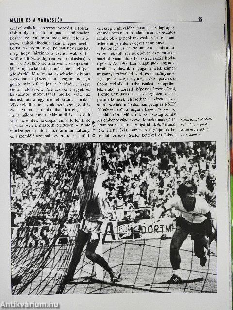 Labdarúgó VB-könyv