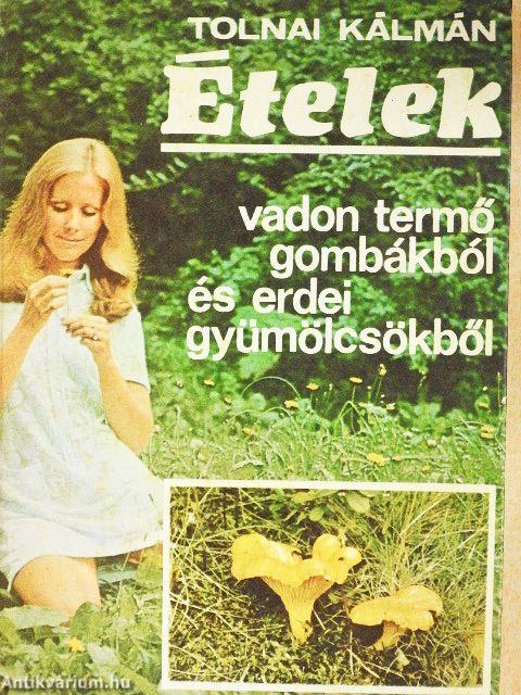 Ételek vadon termő gombákból és erdei gyümölcsökből