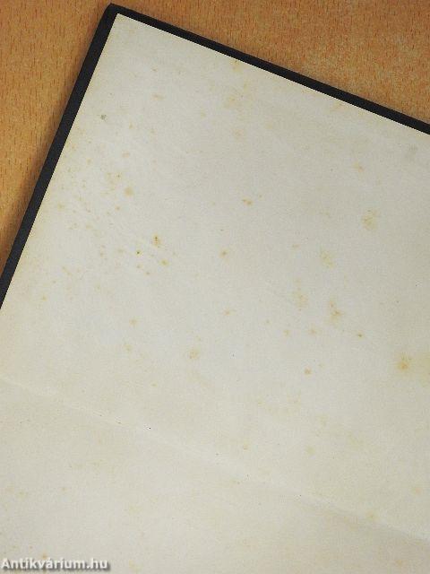 A fehér törzsfőnök