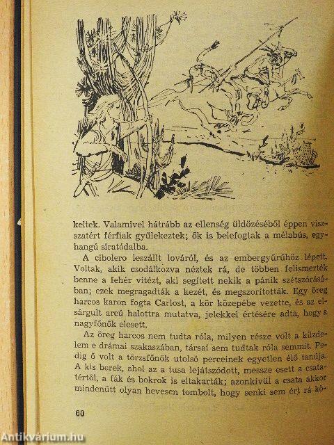 A fehér törzsfőnök