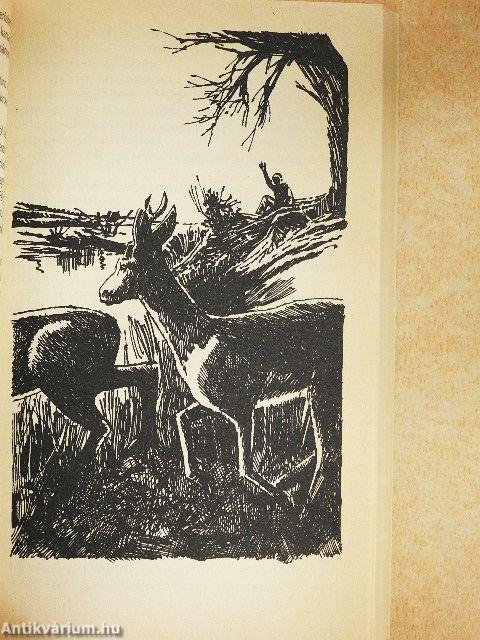 A Bujdosó-zátony foglyai