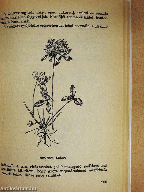 Gyógyító növények