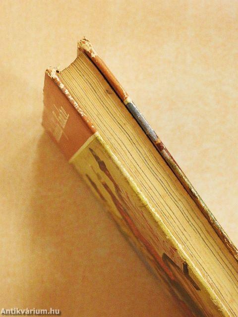 Hét év Bolíviában