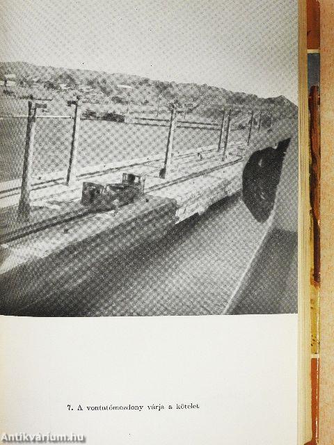 Hét év Bolíviában