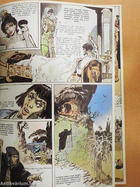 Pompei utolsó napjai