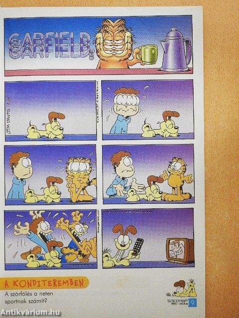 Garfield 2007/10. október