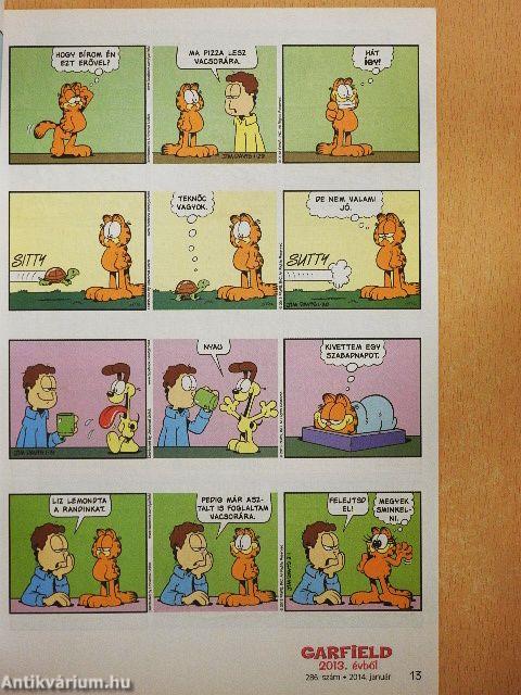 Garfield 2014. január