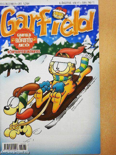Garfield 2013. december