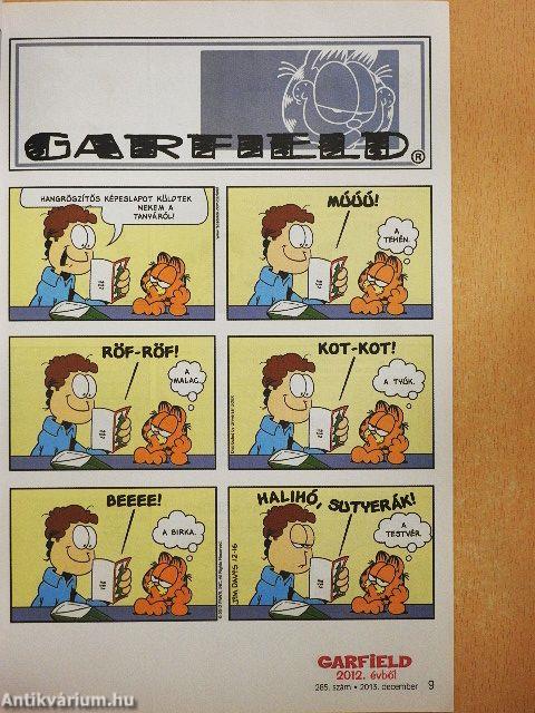 Garfield 2013. december
