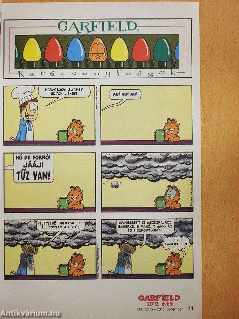 Garfield 2013. december