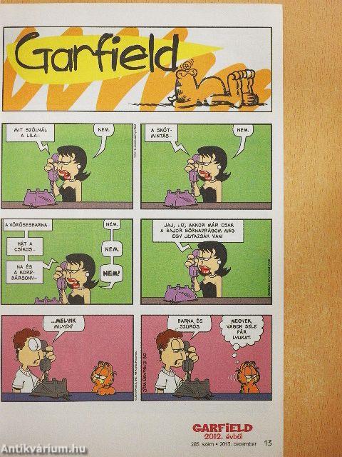 Garfield 2013. december