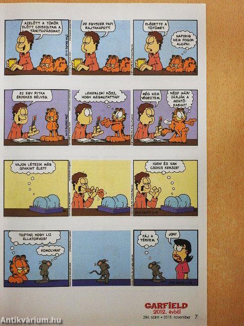 Garfield 2013. november
