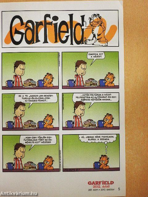 Garfield 2013. október