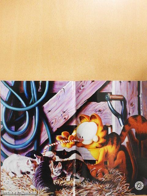 Garfield 2013. augusztus 