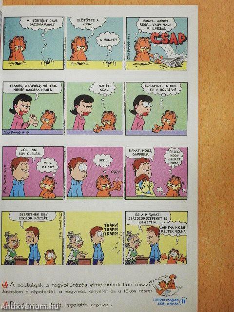 Garfield 2008/3. március
