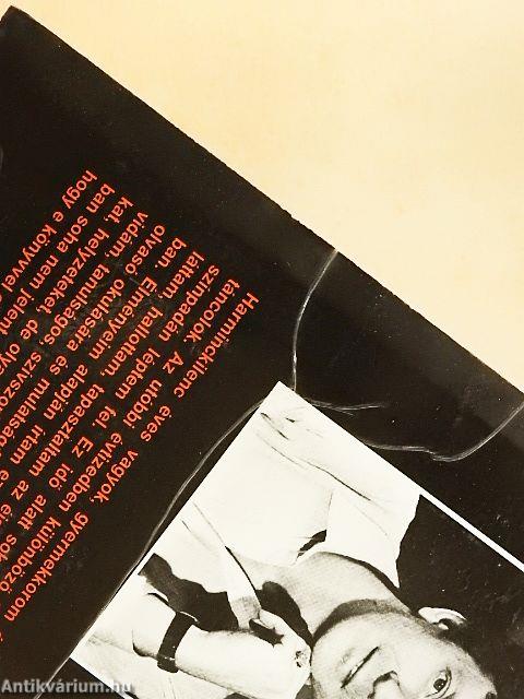 Éjjeli pillangók között