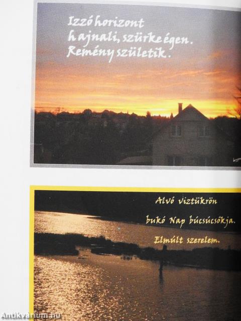 Barangolás (dedikált példány)