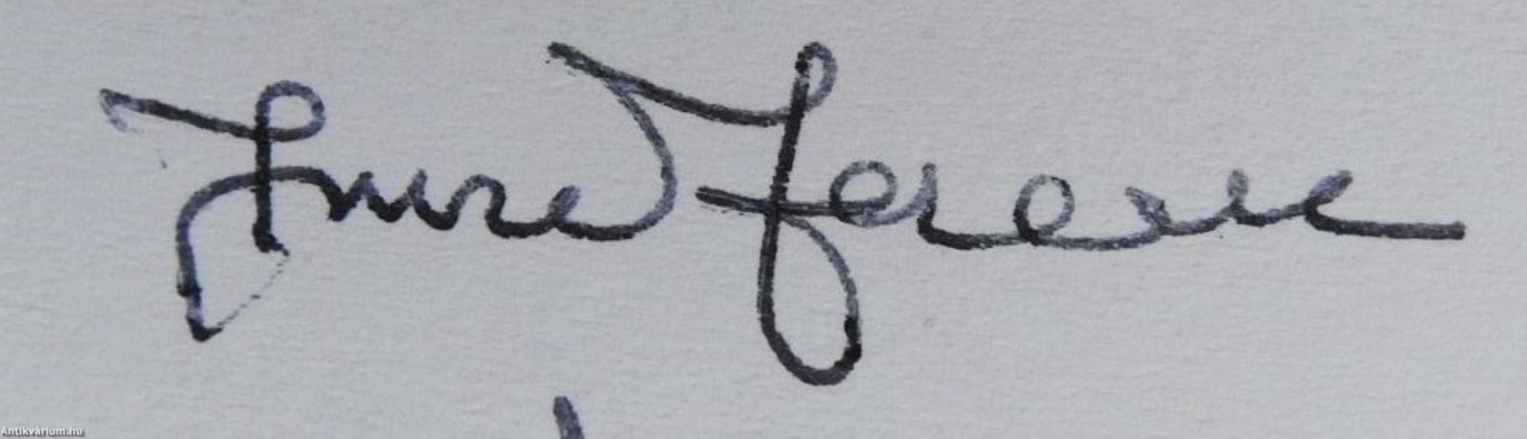 Útitárs (dedikált példány)