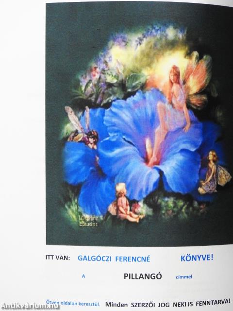 Neked (dedikált példány)