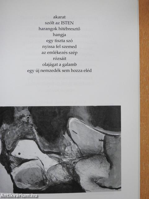 Zarándokúton (dedikált példány)