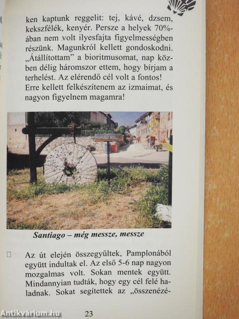 Aki a jelekre figyelt (dedikált példány)