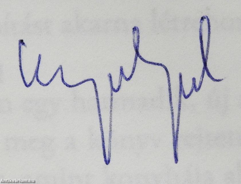 Magányos férfi főzőkanállal (dedikált példány)