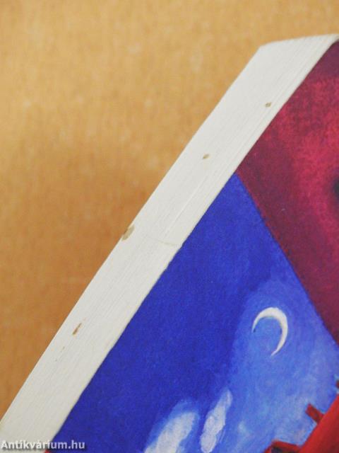 Magányos férfi főzőkanállal (dedikált példány)