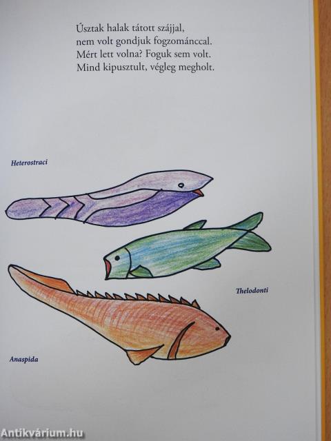 Dinoszauruszok (dedikált példány)