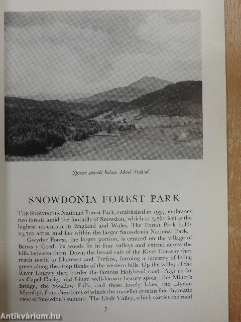 National Forest Parks