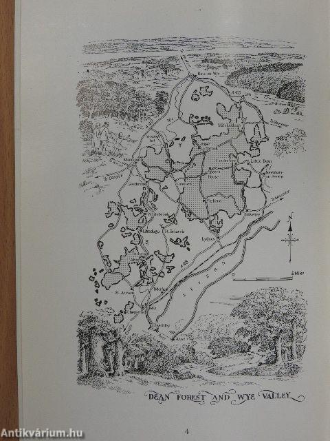 National Forest Parks