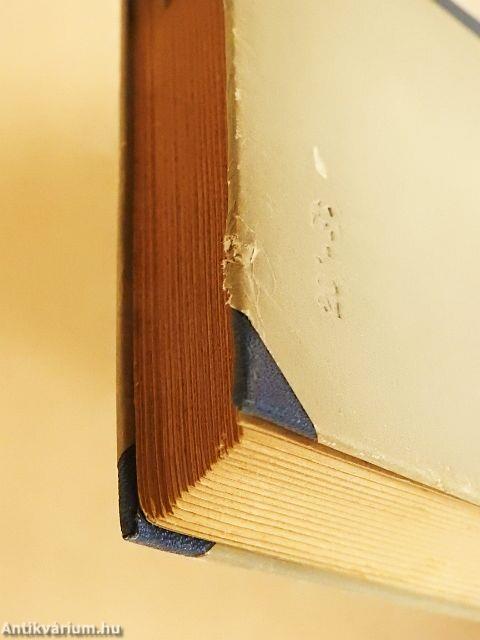 Rózsa Sándor a lovát ugratja I-II.