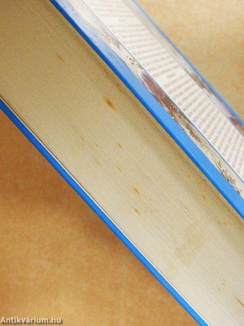 A francia hadnagy szeretője