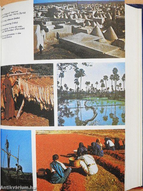 Longman English Larousse