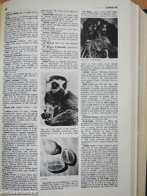 Longman English Larousse