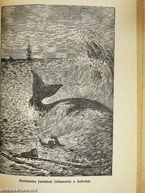 A tizenötéves kapitány