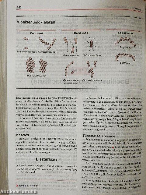 MSD Orvosi Kézikönyv a Családban