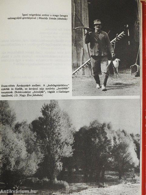 Lányok Évkönyve 1974