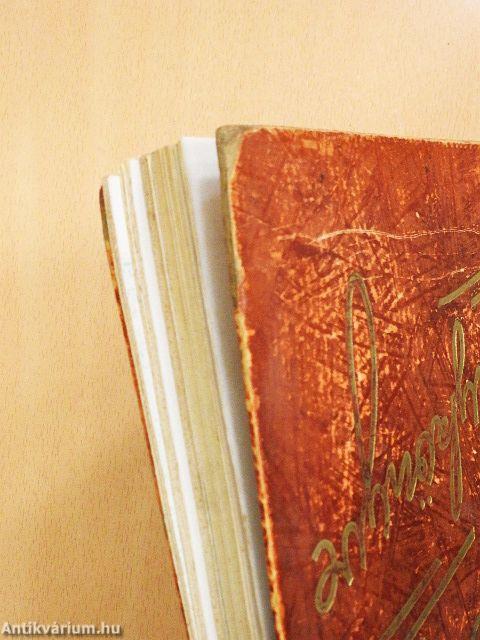 Asszonyok Aranykönyve I. (töredék) (rossz állapotú)