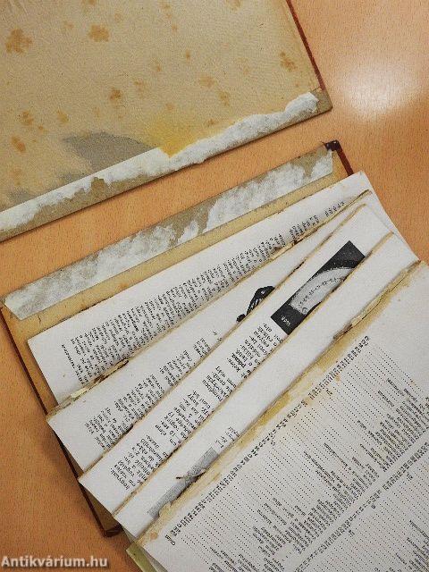 Asszonyok Aranykönyve I. (töredék) (rossz állapotú)