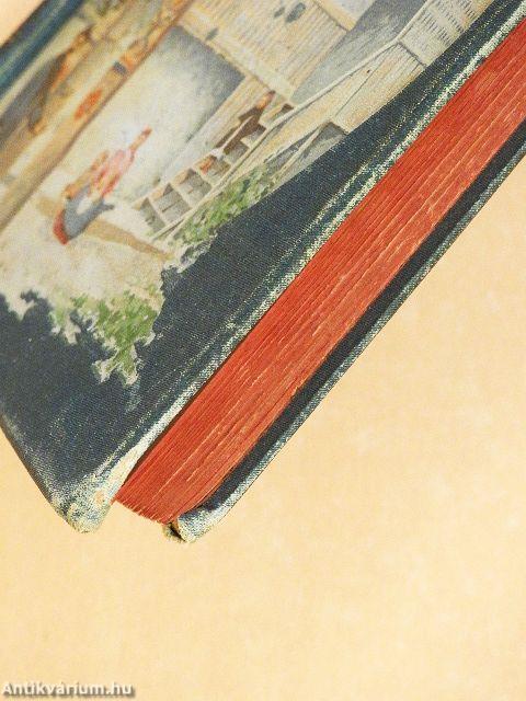 Székelyföld (rossz állapotú)