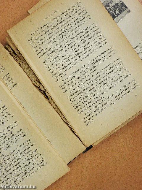 Székelyföld (rossz állapotú)