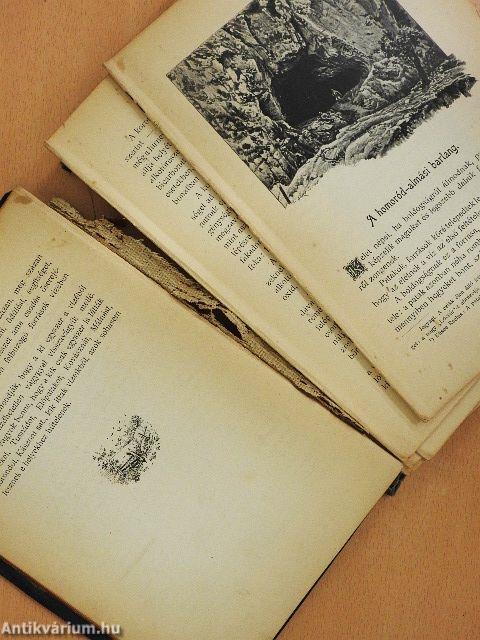 Székelyföld (rossz állapotú)