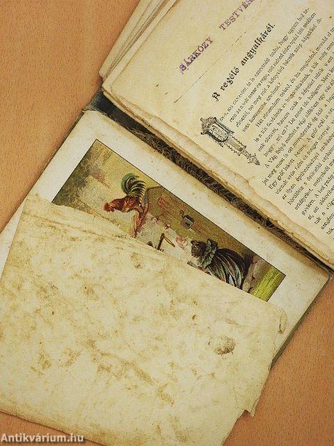 Legszebb regefüzér (rossz állapotú)