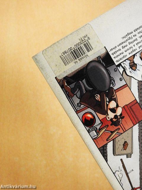 Mozaik 2007. március