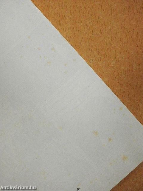 Pompei utolsó napjai