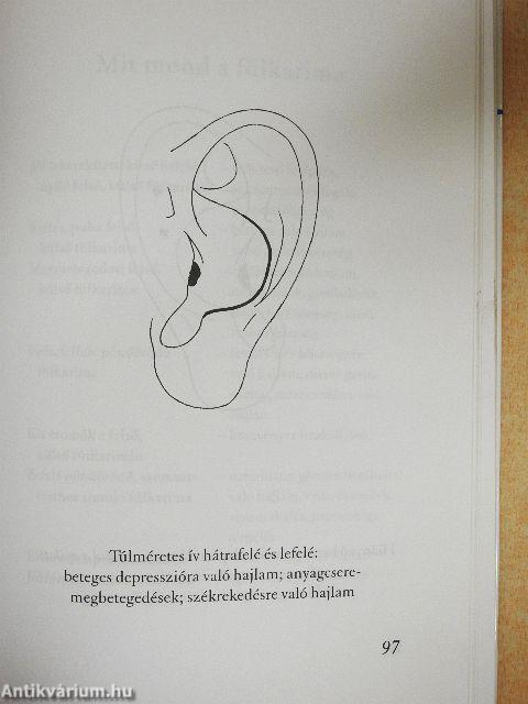 Betegségünk tükrei