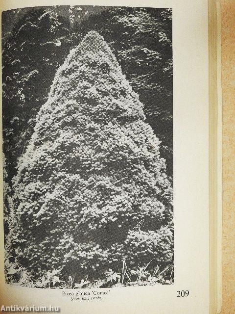 Kertben élni, kertészkedni