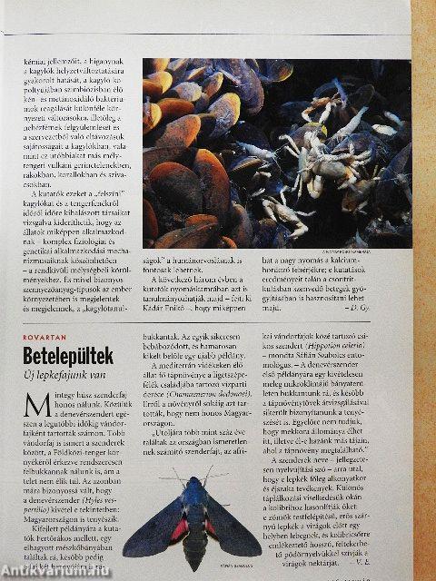 National Geographic Magyarország 2006. (nem teljes évfolyam)