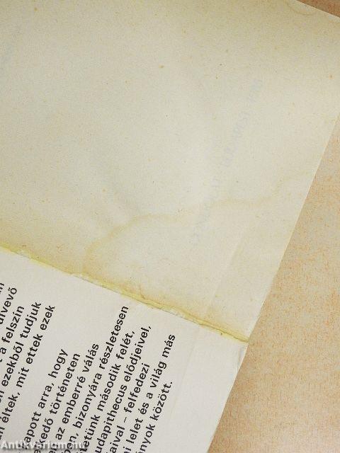 Az első ötvenmillió év